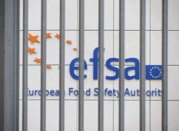 Green light for moth larvae “flour” from the EU: the insect coming to our plates