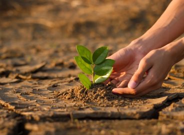 Európa je (takmer) zelená: EÚ sa blíži k svojim klimatickým cieľom do roku 2030