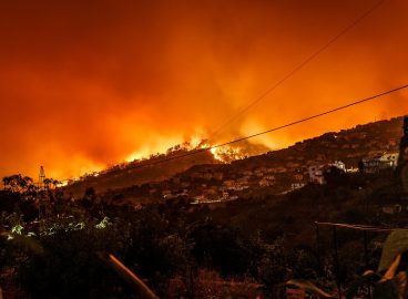 A Mediterranean on Fire, A Politics of Silence