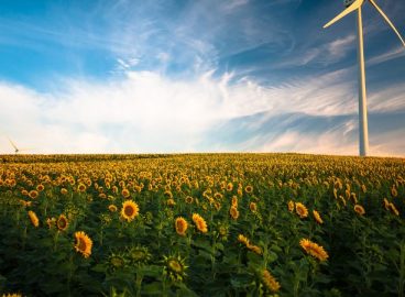 Green skills and the future of work: are public institutions ready for the green transition?