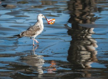 No deal on plastic waste and the future looks dirtier