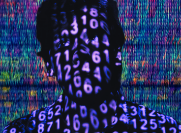 Denmark and the ontology of body copyright