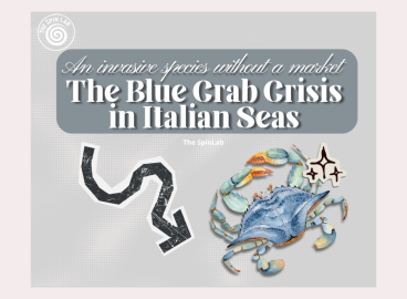 The Blue Crab Crisis in Italian Seas