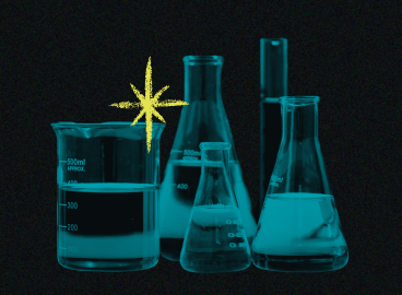 Chemie van gelijke kansen: stages in de chemische industrie