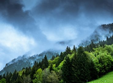 Cosa vuole fare l’Europa per ridurre le emissioni: gli impegni dell’UE per l’ambiente verso la COP30