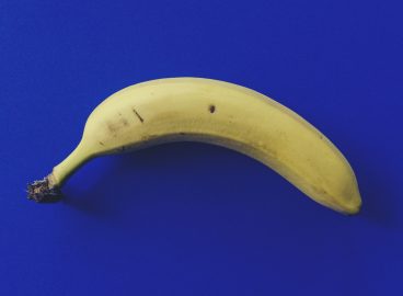 From bent bananas to banned cars: why EU hoaxes still go viral among people