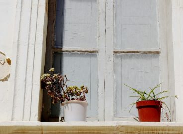 Low Pay & The Vanishing Property Ladder for Young Maltese Adults