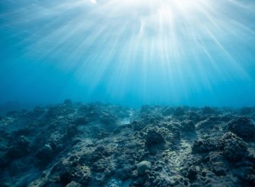 Copernicus Report Reveals a Triple Planetary Crisis