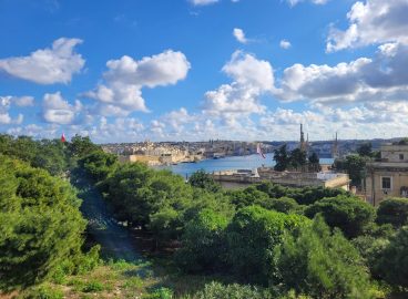 Concrete Grows Faster Than Trees Sometimes