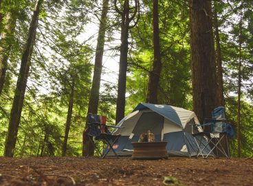 The Power of Camp Friendships: Why Connections Formed in Nature Last a Lifetime