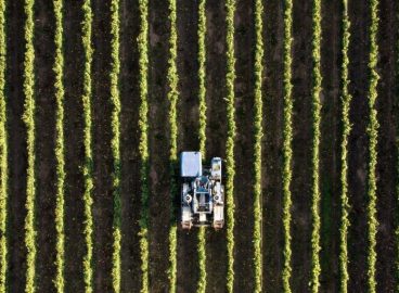 Od rezignácie k obnoveniu: Ako môže ďalší rozpočet EÚ zabezpečiť budúcnosť rodinných fariem